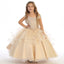 Girls' Champagne or Baby Blue Ball Gown Dress, Sparkly Princess Party Dress, Lace Applique Formal Gown, Corset Back Flower Girl