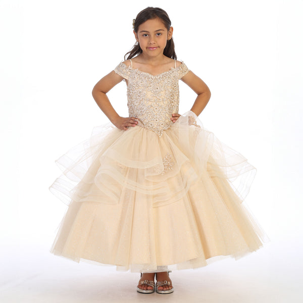 Girls' Champagne or Baby Blue Ball Gown Dress, Sparkly Princess Party Dress, Lace Applique Formal Gown, Corset Back Flower Girl